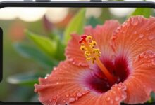 Tips Foto Makro dengan Smartphone